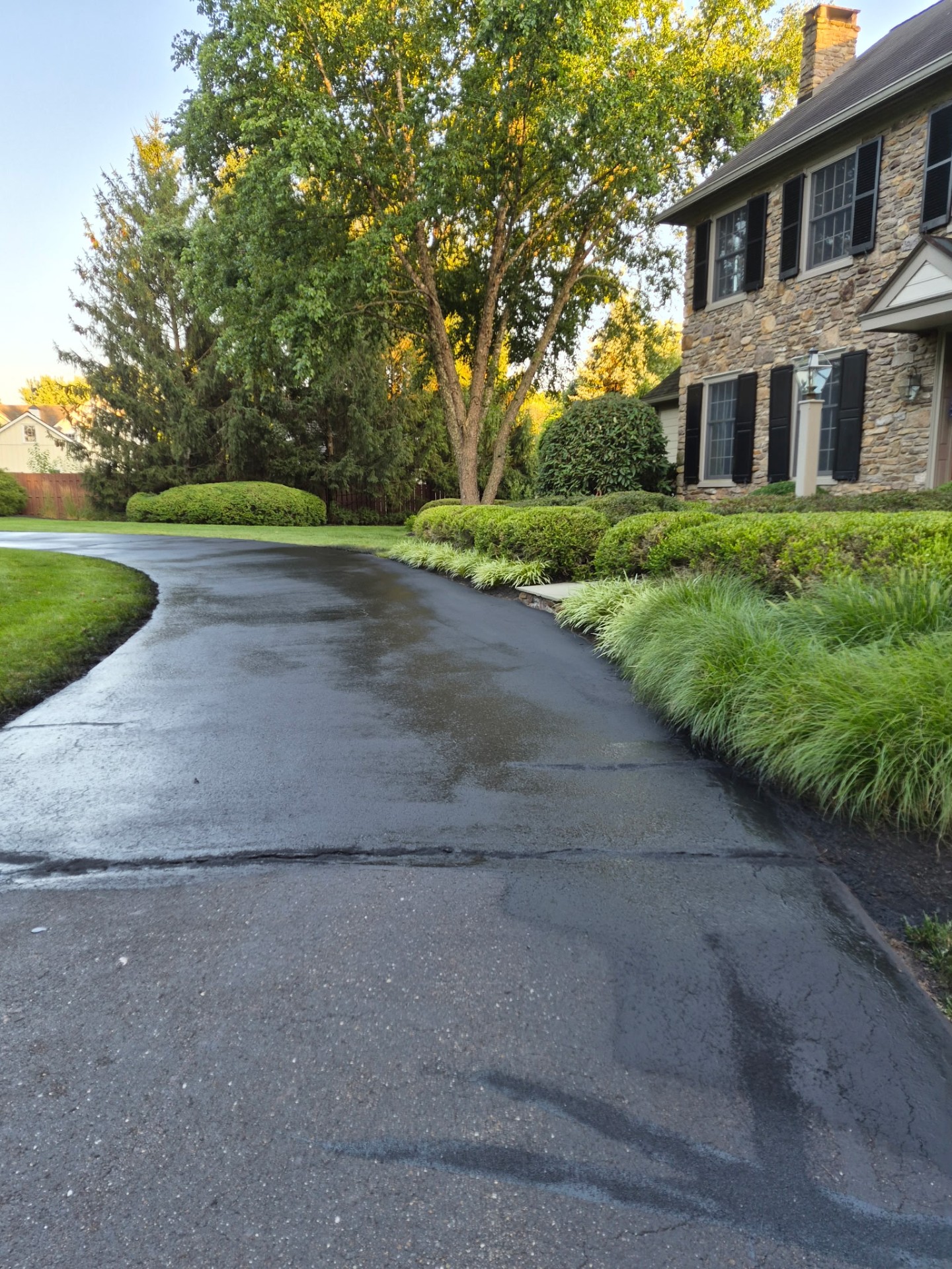 Restored Wet-Look Finish